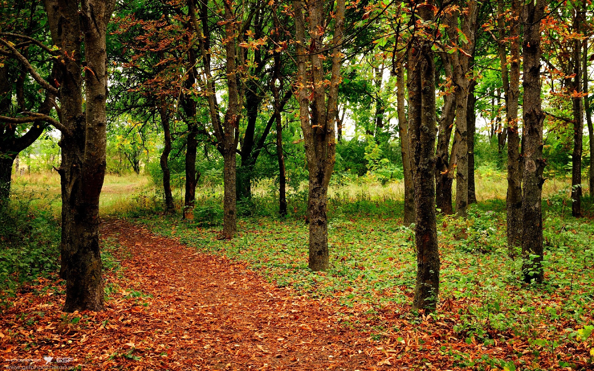 戈贝尔群山回响，新疆男篮如何将不可能的胜利锻造成现实？