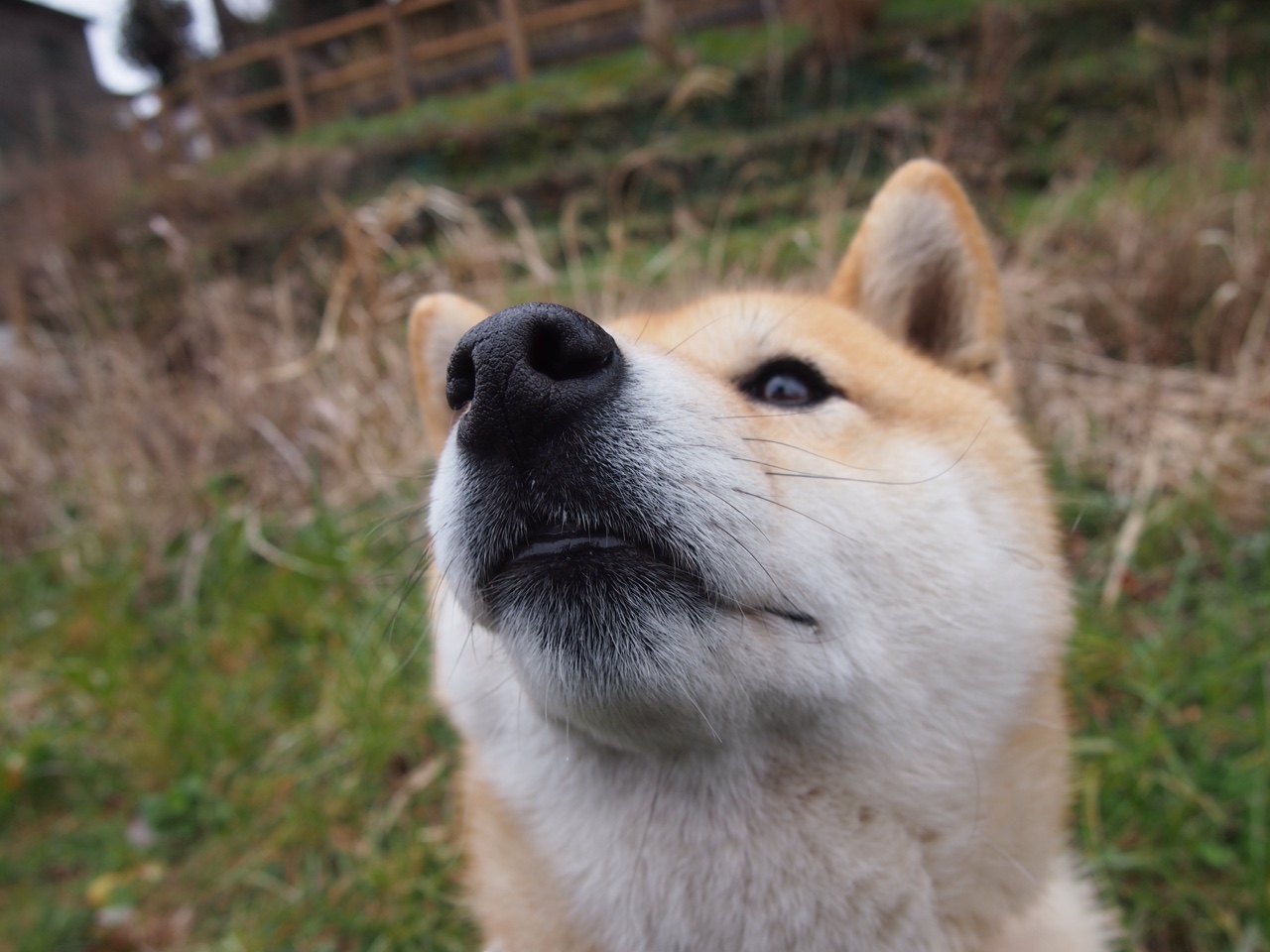 跨界英雄会！浙江队险胜鹈鹕 哈登惊天表演难挽败局