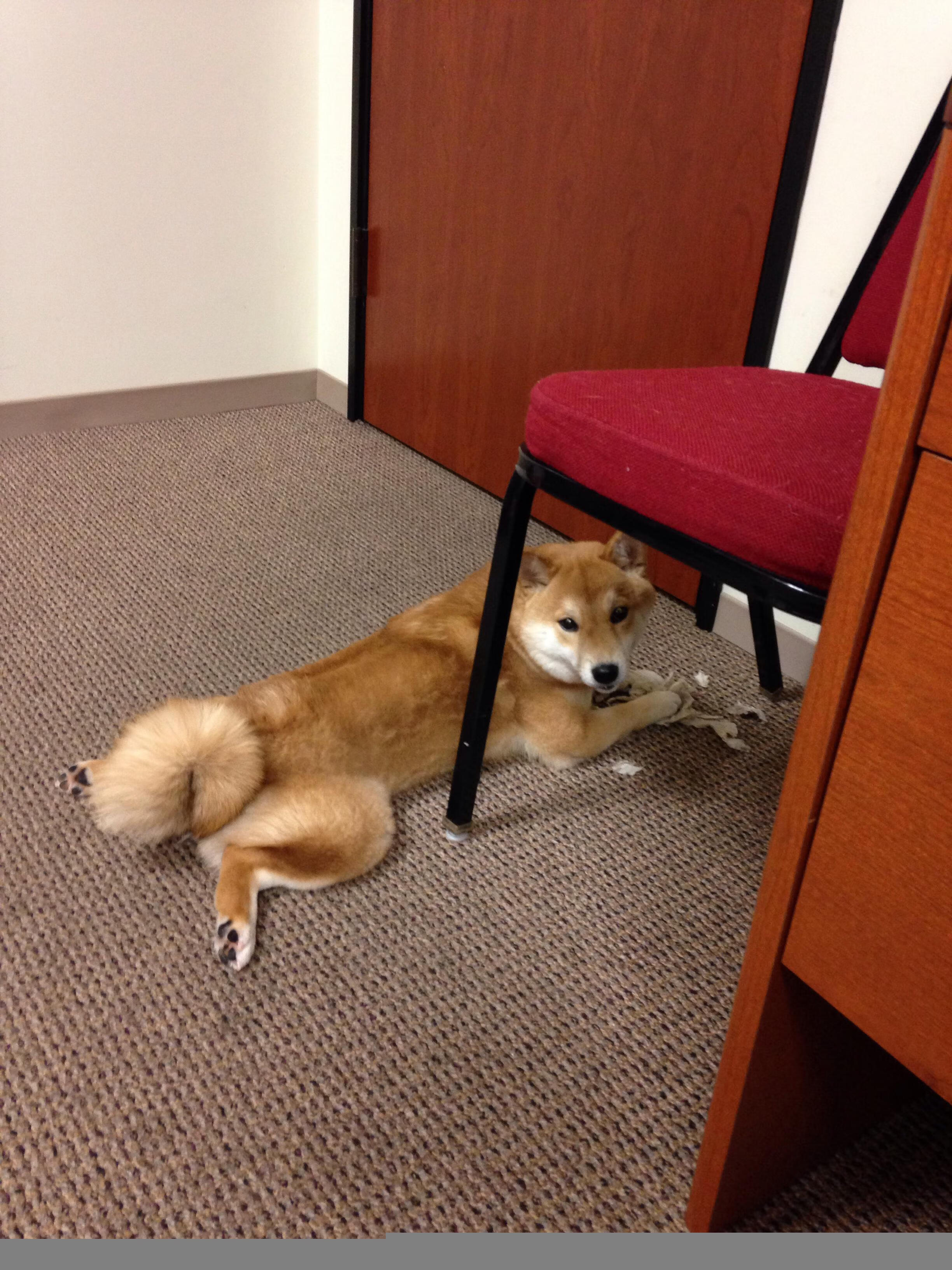 神祇降临人间!恩比德49+17+7盖帽撕碎铁壁,快船26分史诗逆转福建!