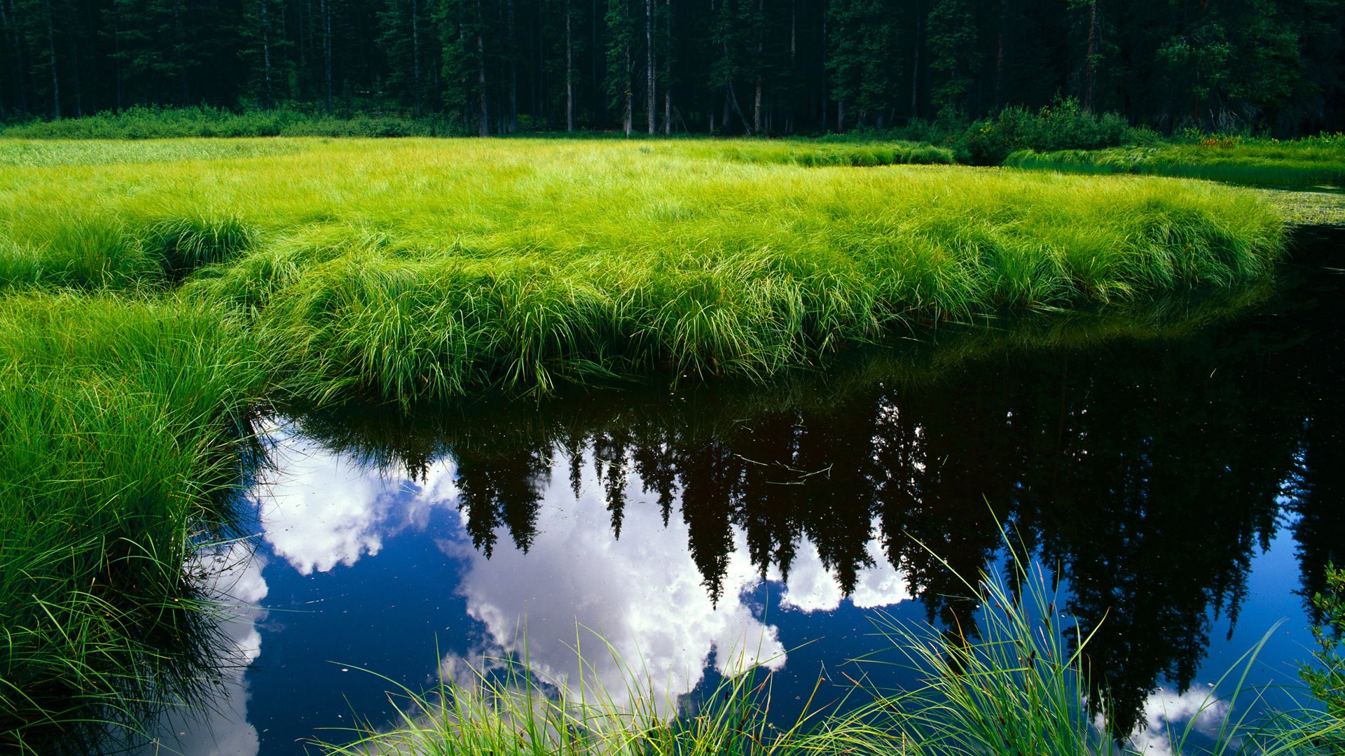 跨越疆界的激战，公牛力克广厦，保罗诠释关键先生真谛