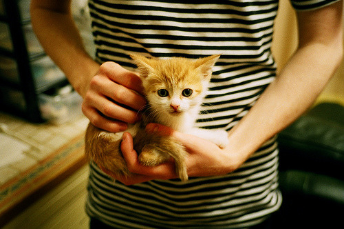 冷锋破晓，东决夜，那个被遗忘的持刀人终于出鞘