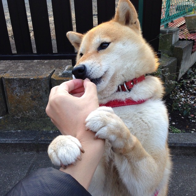 利拉德现象,当对手的嘘声化作他脚下的音符