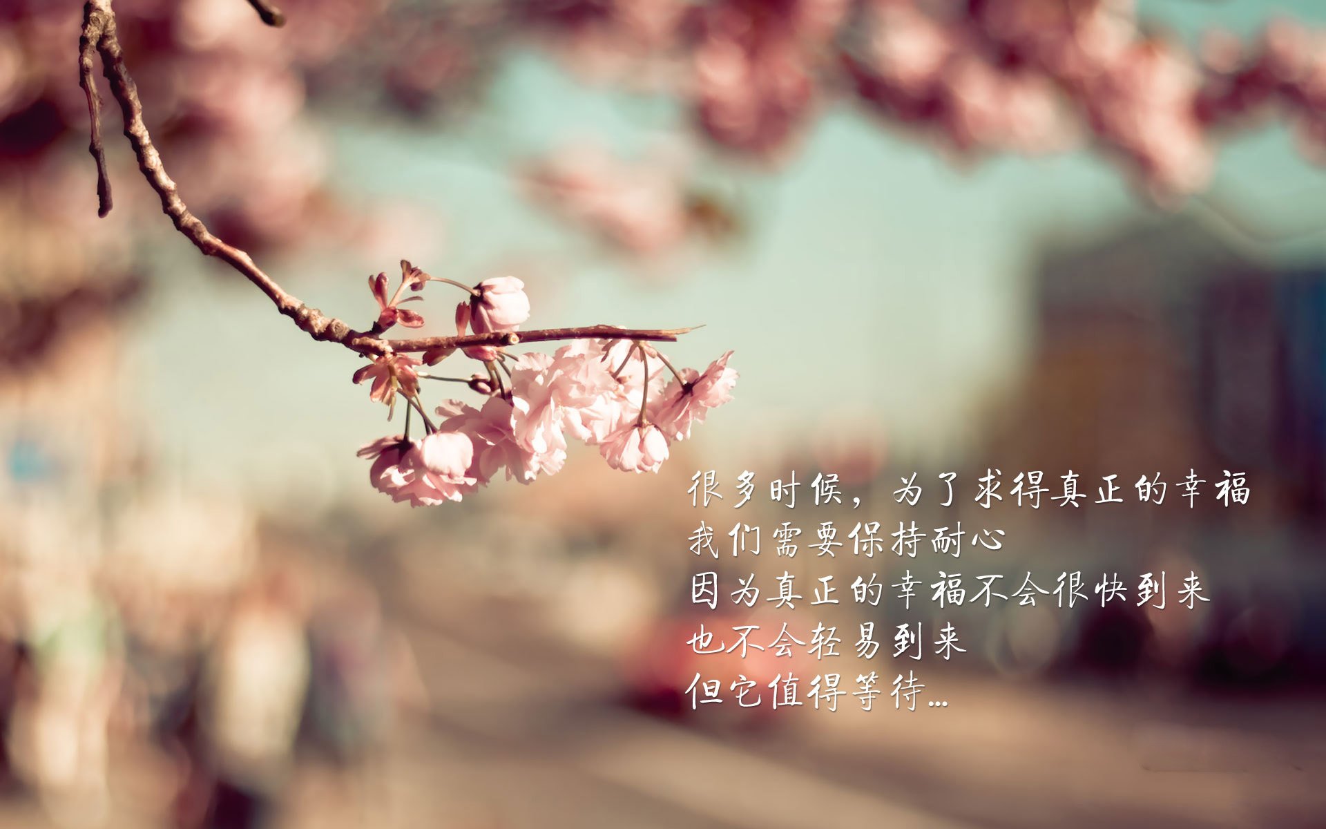 封锁与钥匙，当门迪在焦土之战中重启亚平宁