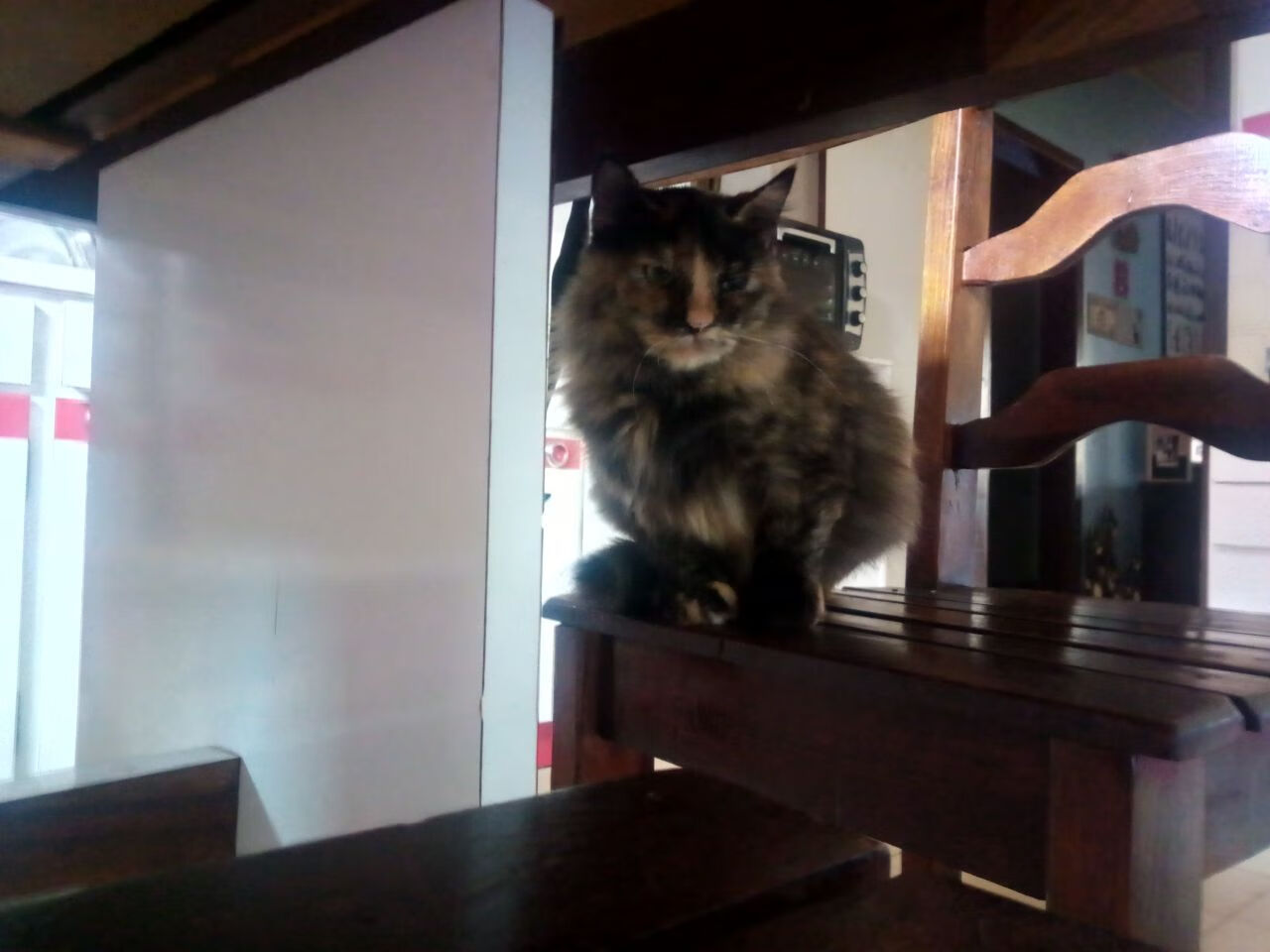 摧枯拉朽！骑士用连续攻击波窒息吉林，乔治单点爆破成胜负手