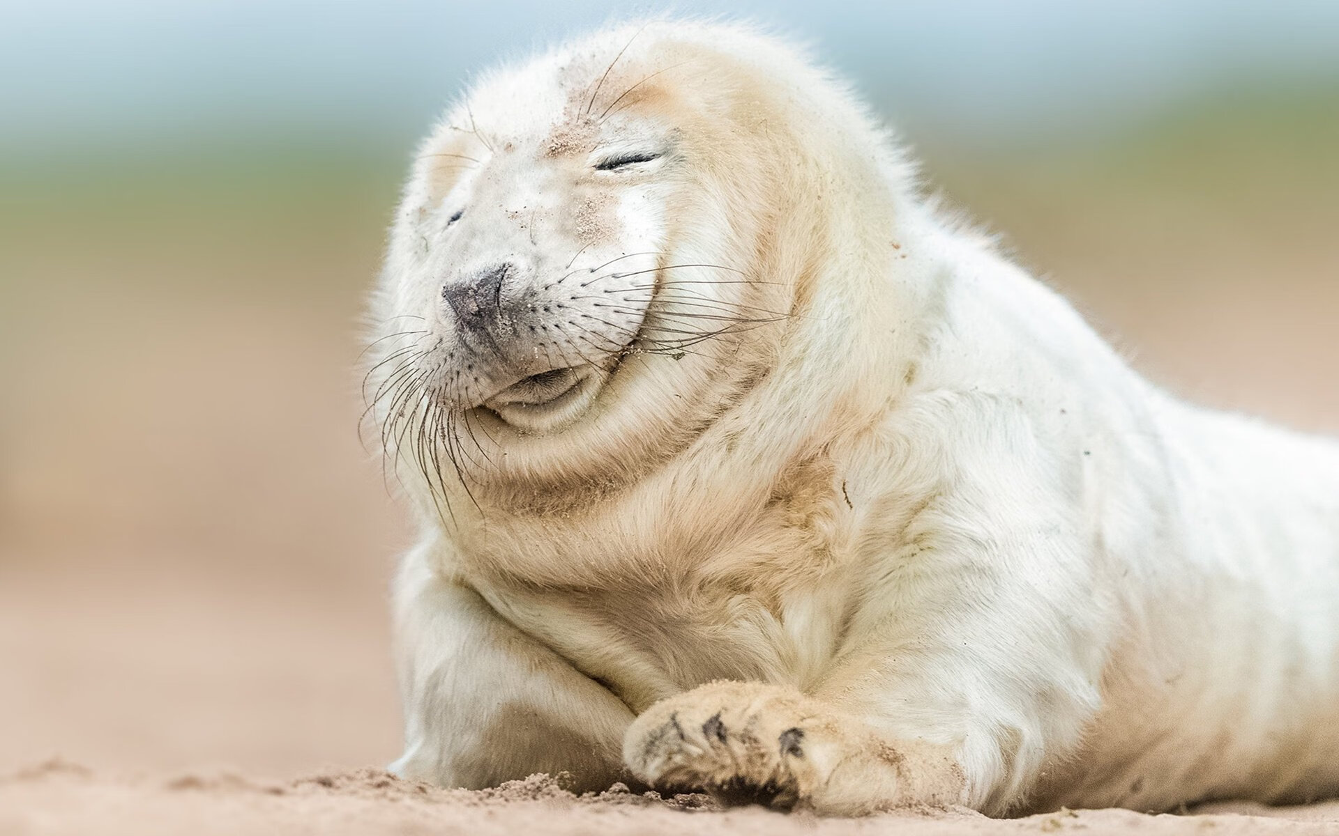 冰与火的十字路口,斯通斯用防守艺术冻结芬兰的北境风暴