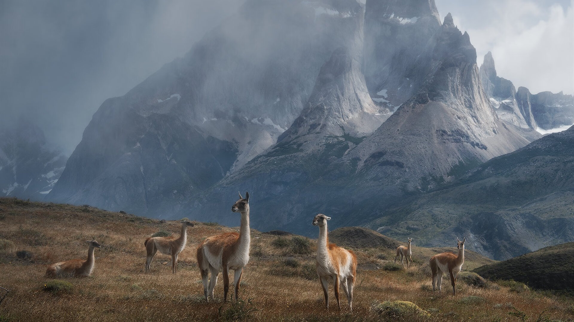 赛场即赛道，当尤文图斯用F1战术掌控乌拉圭节奏