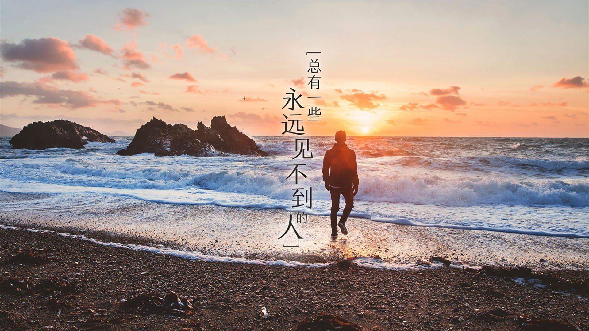 黑马风暴席卷北岸花园,黄蜂强势晋级背后的塔图姆孤独赞歌