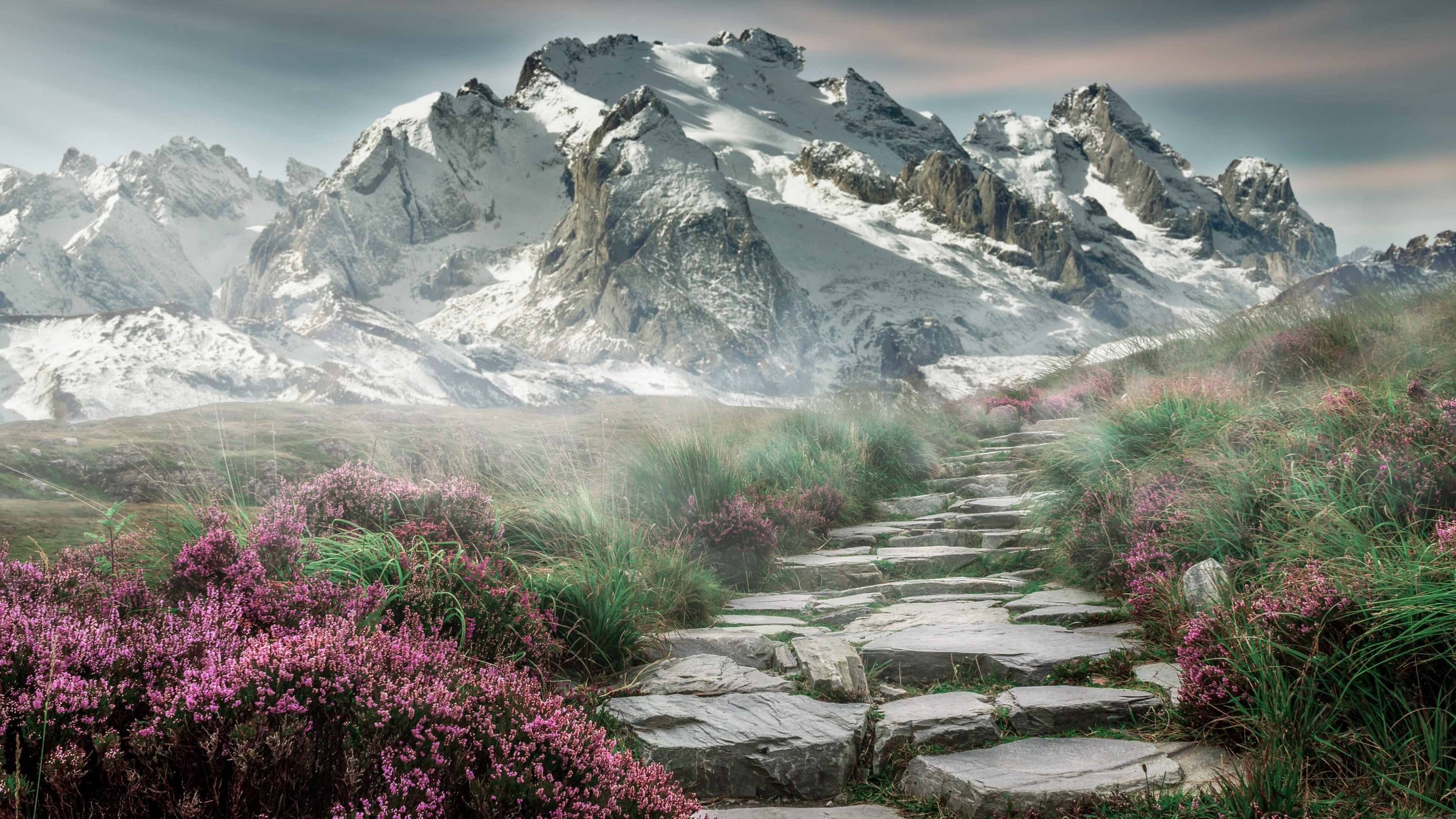 紫百合勋章,当迪巴拉的F1方向盘转动亚平宁与波斯湾