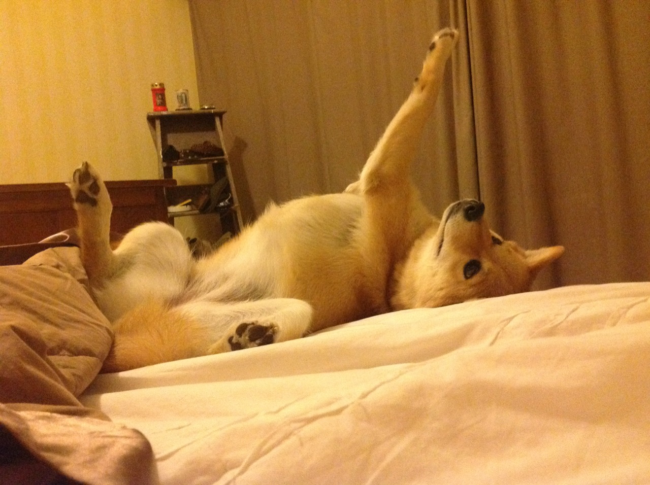 利拉德时刻,用一记绝杀改写浙江的翻盘宿命