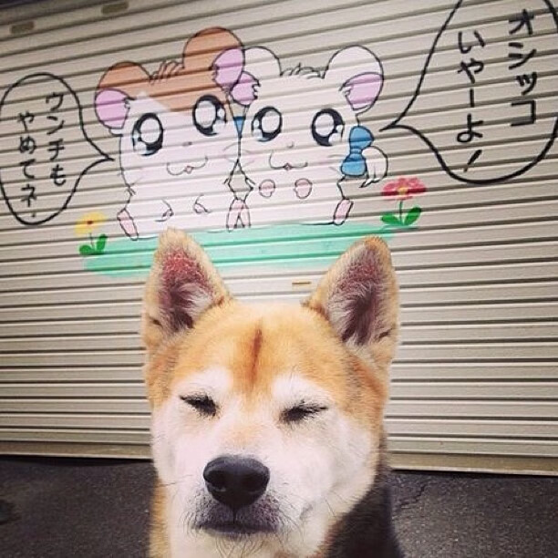 南美铁血夜与德国战车证明战,足球的两种叙事