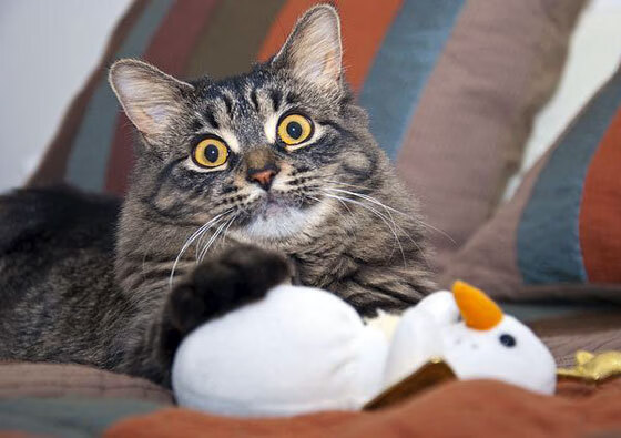 揭幕战的暗夜骑士,当孔德的不手软定义另一种胜利