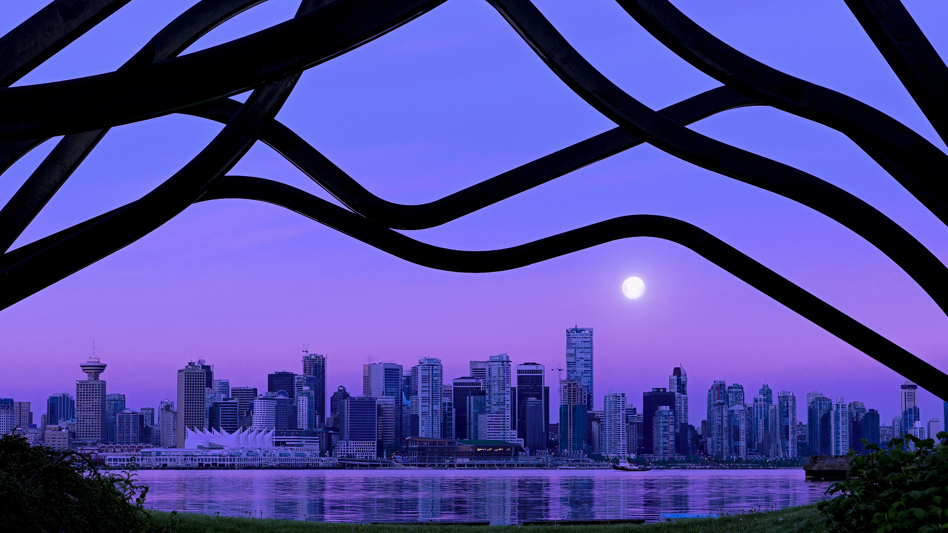 黄蜂尾刺蛰伤群狼,德罗赞化身末节蜂后,致命中投定乾坤