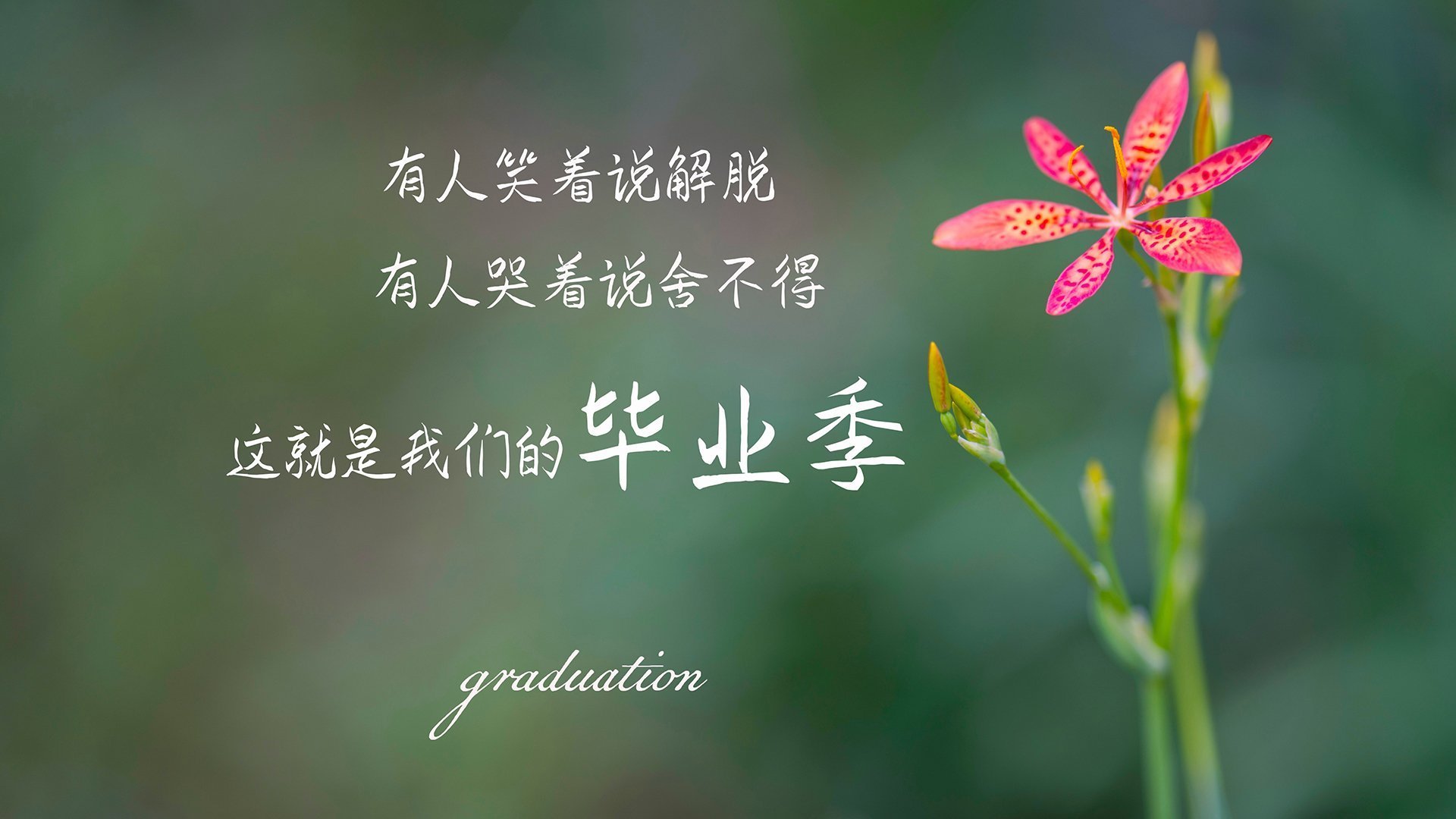 奥纳纳的怒吼与安菲尔德的回声,当利物浦在最后一刻击败中国