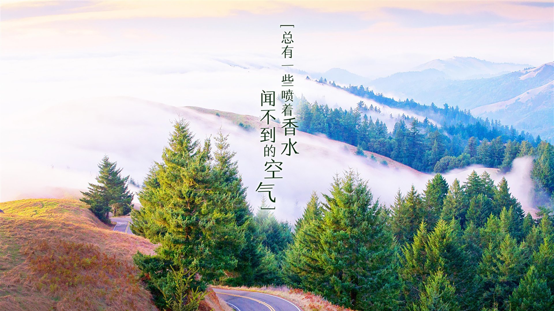 奇迹终场，门迪一球定乾坤，拜仁惊魂逆转佛罗伦萨