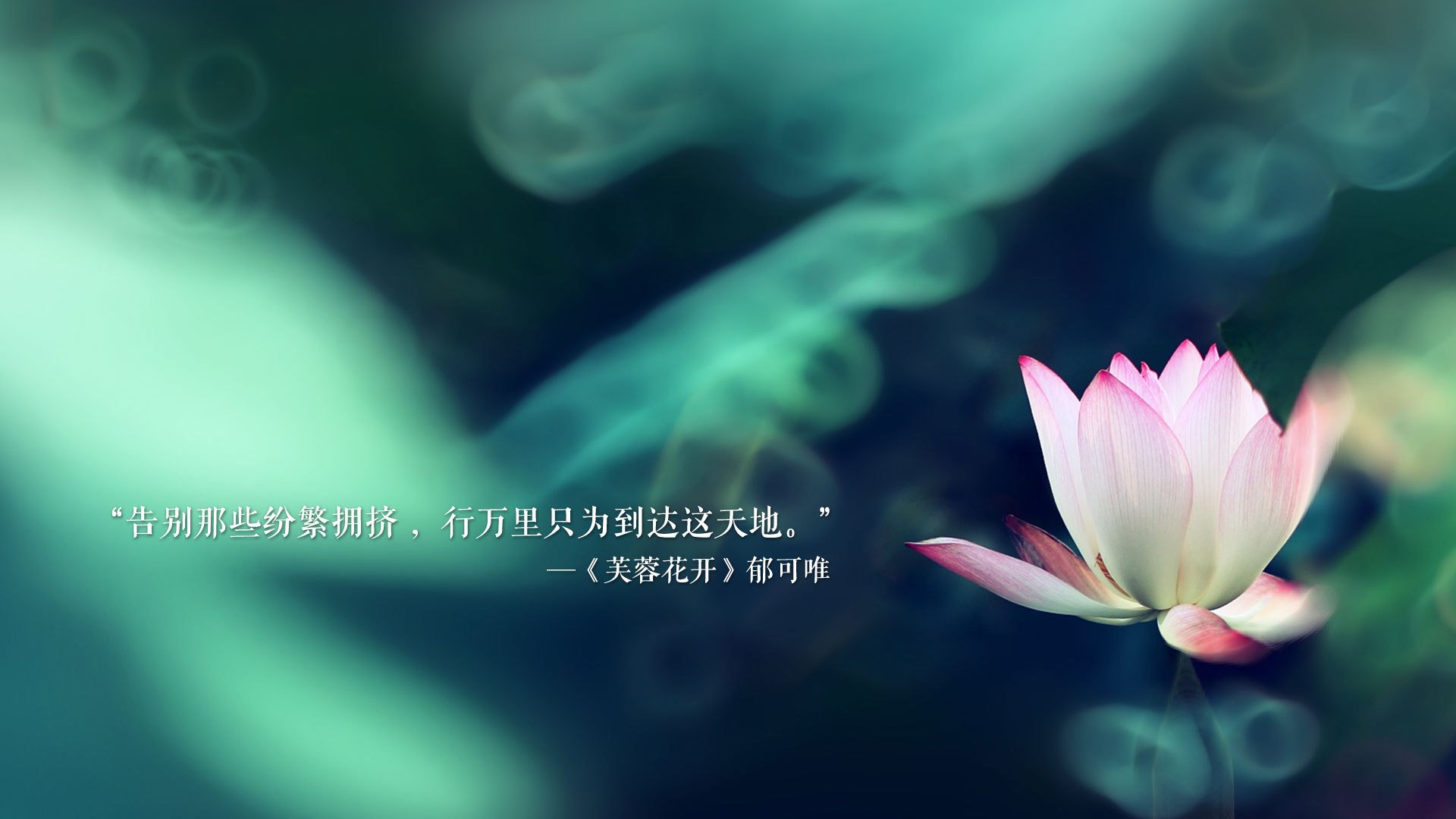 孤城铁壁，德容的节奏，罗马尼亚的防守反击，如何在2026世界杯A组焦点战中碾碎摩洛哥