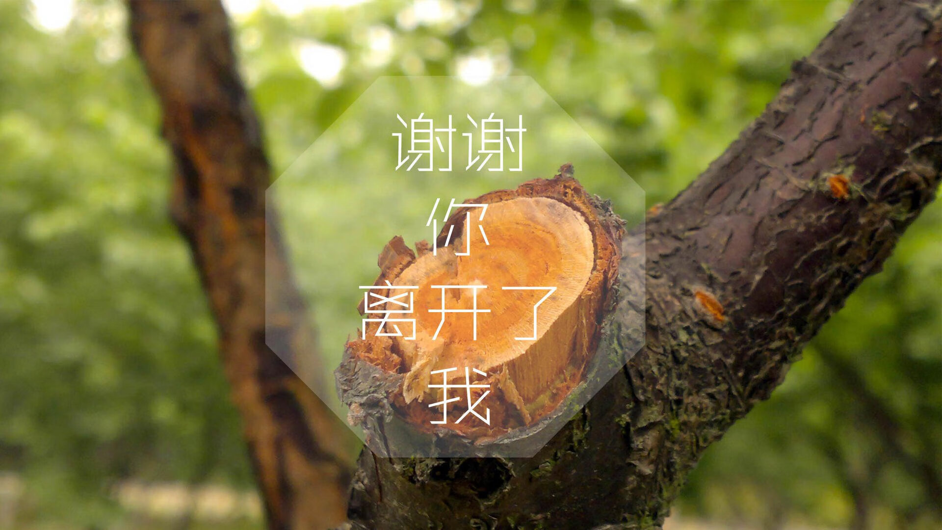 沙漠之狮啸傲东方，2026世界杯A组，摩洛哥力克印度，努涅斯一战封神