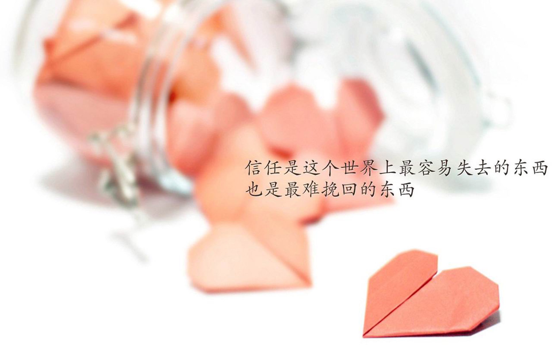 南美猎鹰的致命一击,厄瓜多尔绝杀罗马尼亚,登贝莱引领D组生死战走向终局