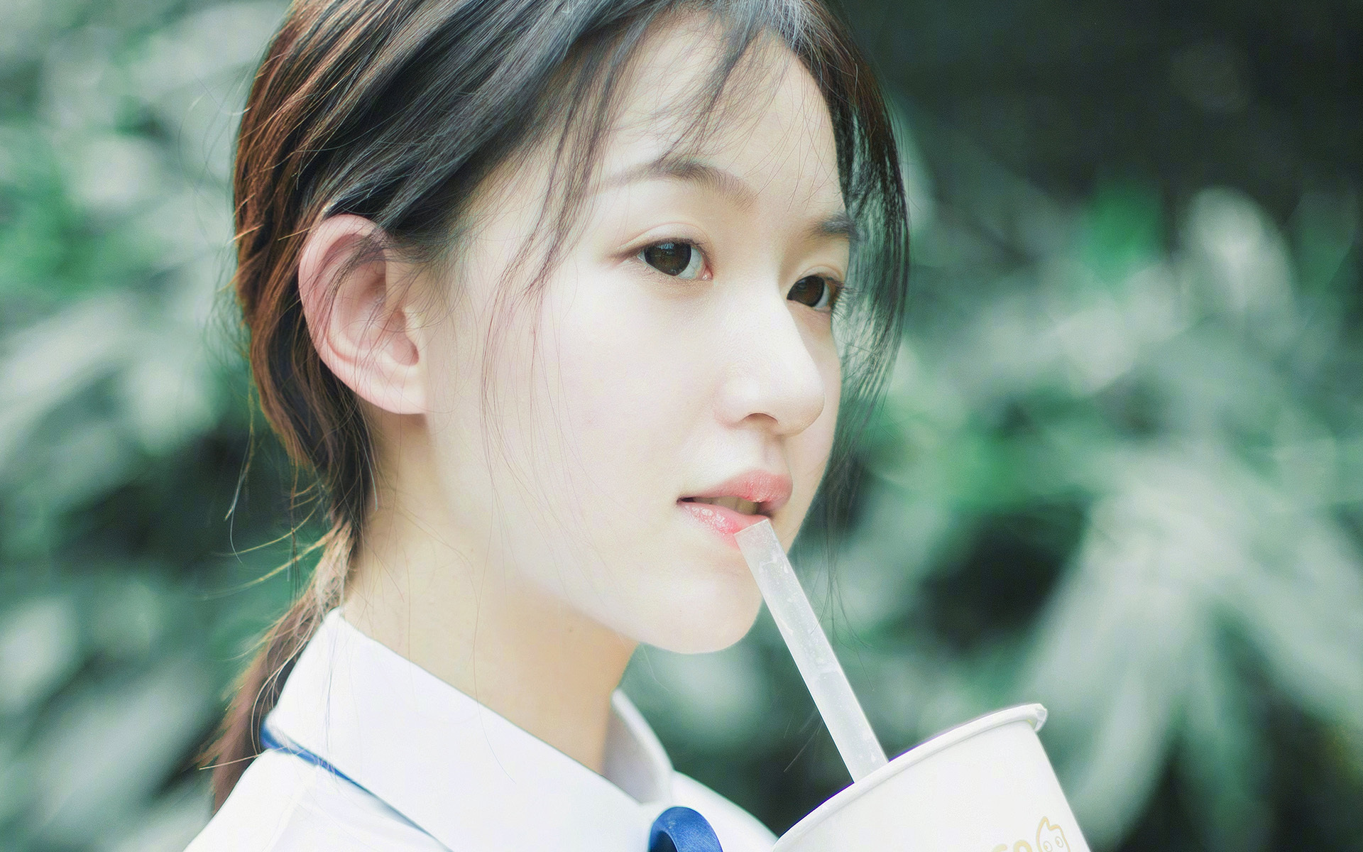 D组风云录,厄瓜多尔高原风暴席卷东欧,凯恩三狮军团主宰生死战