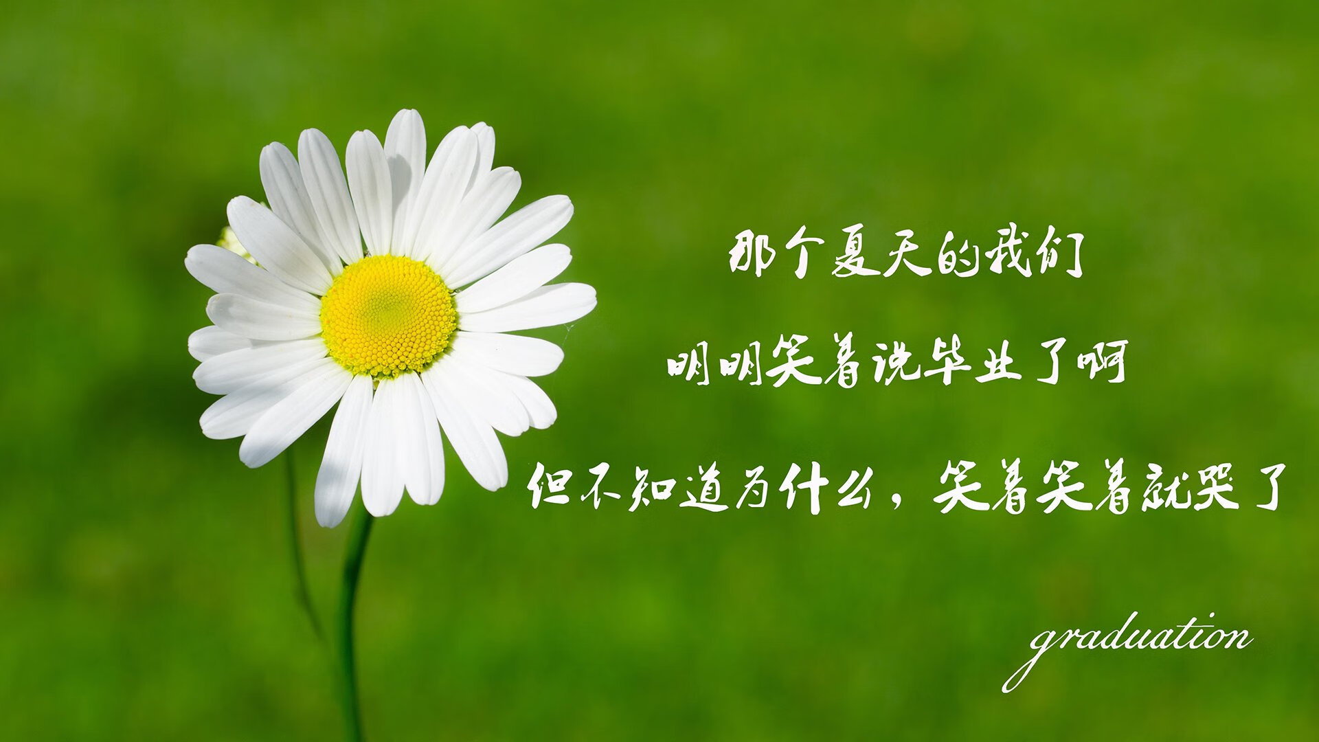 唯一之役，2026，穆西亚拉在美西激战中镌刻永恒
