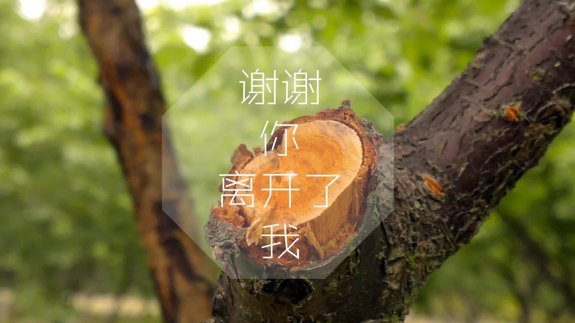 冰与火之战的唯一绝唱，2026世界杯F组，泰国压哨绝杀冰岛，苏亚雷斯书写不老传奇